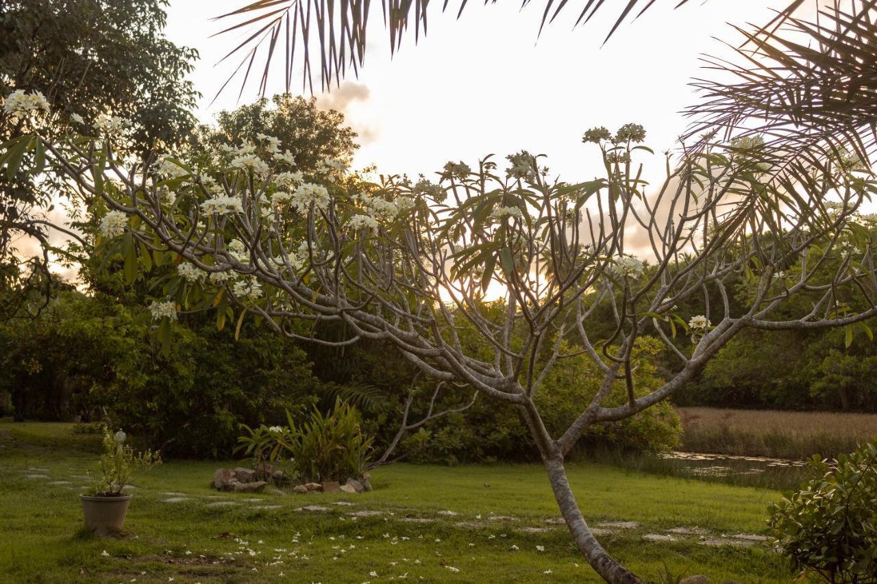 Pousada Lagoa Da Pedra インバサイ エクステリア 写真